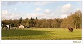 Verkensbos 9